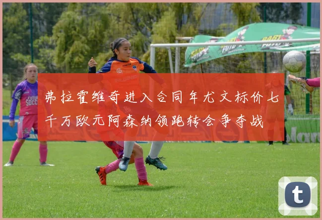 弗拉霍维奇进入合同年尤文标价七千万欧元阿森纳领跑转会争夺战